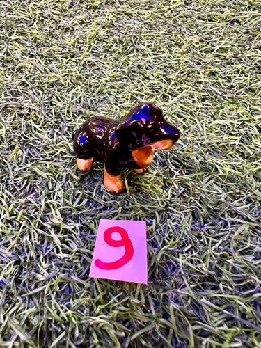 כלבים פורצלן