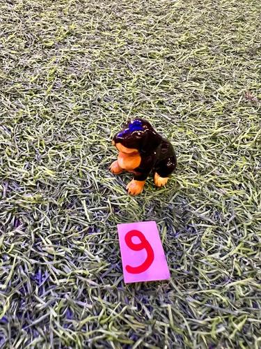 כלבים פורצלן