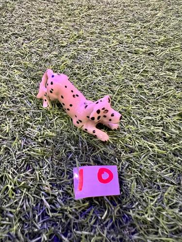 כלבים פורצלן