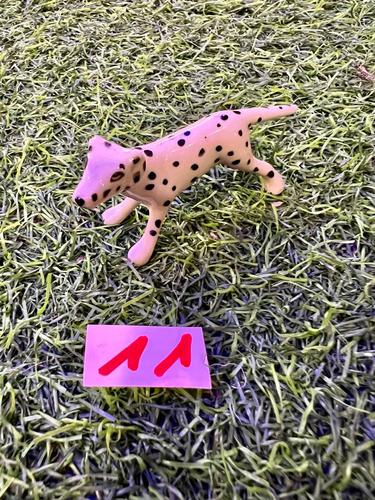 כלבים פורצלן