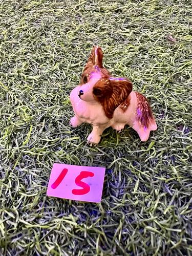 כלבים פורצלן