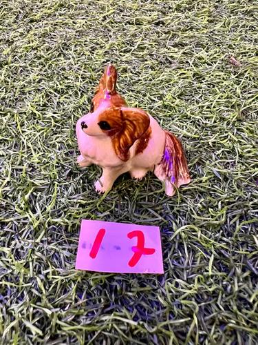 כלבים פורצלן