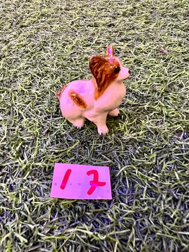 כלבים פורצלן