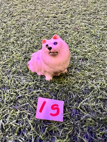 כלבים פורצלן