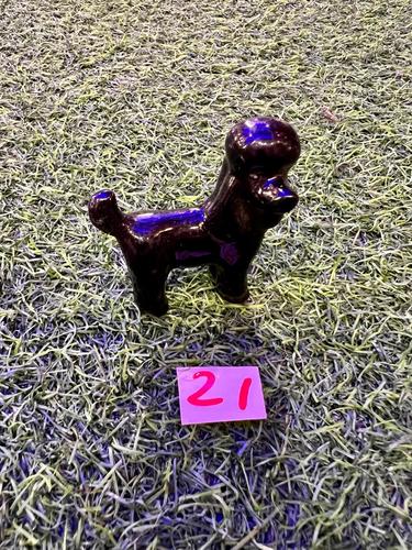 כלבים פורצלן