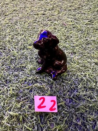 כלבים פורצלן