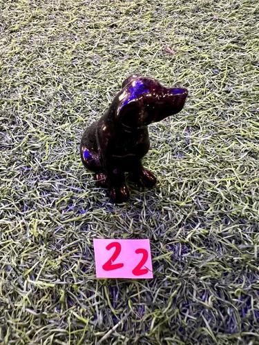 כלבים פורצלן