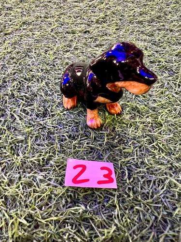 כלבים פורצלן