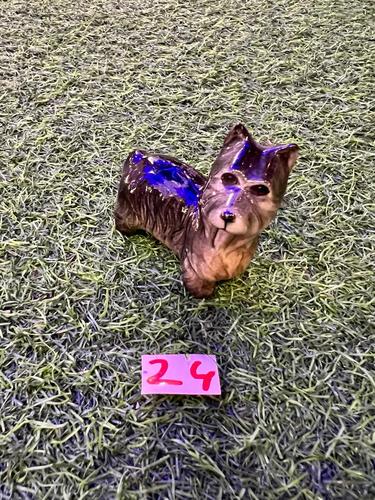 כלבים פורצלן