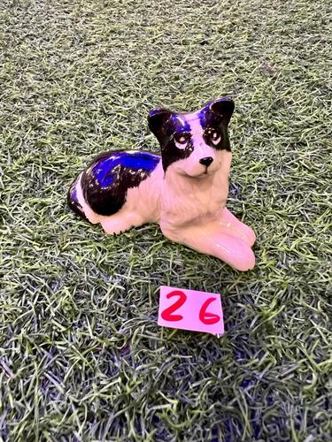 כלבים פורצלן