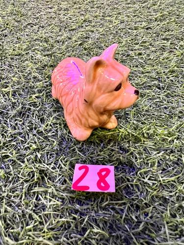 כלבים פורצלן