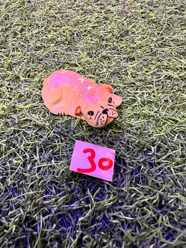 כלבים פורצלן