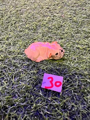 כלבים פורצלן