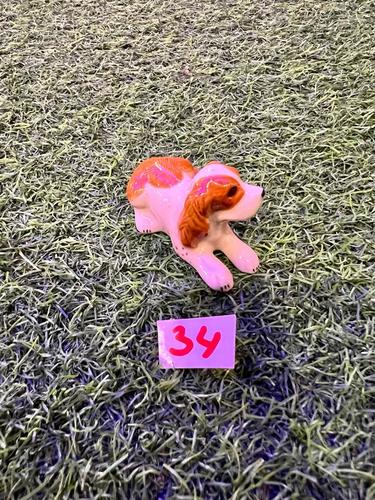 כלבים פורצלן