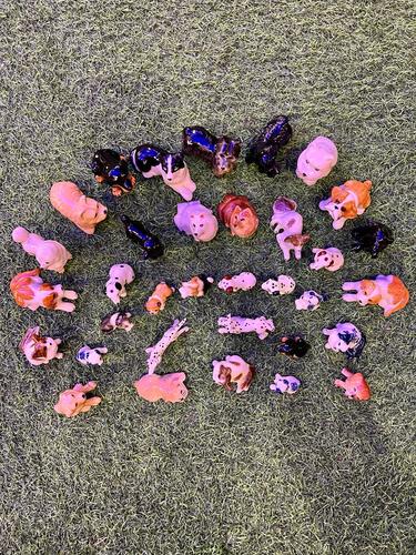 כלבים פורצלן