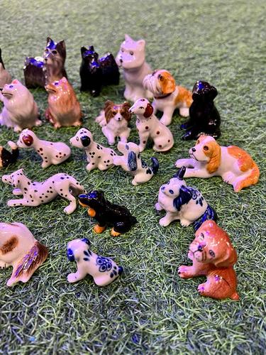 כלבים פורצלן