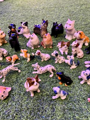 כלבים פורצלן