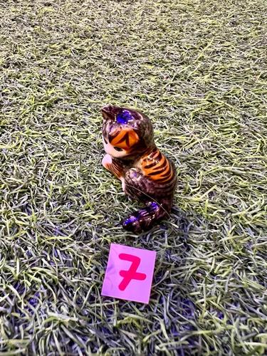 חתולים מיניאטורות פורצלן