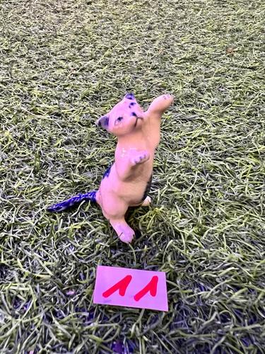 חתולים מיניאטורות פורצלן