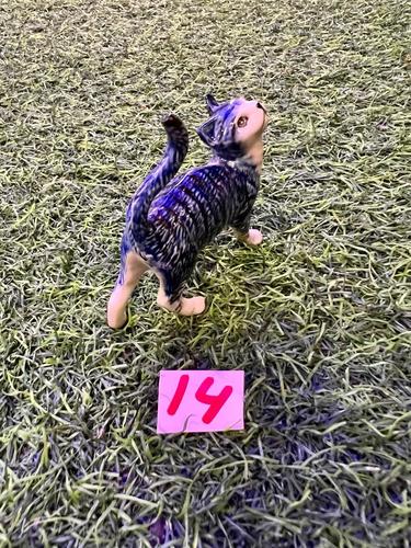 חתולים מיניאטורות פורצלן