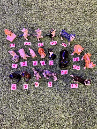 חתולים מיניאטורות פורצלן