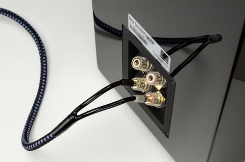 SVS Soundpath Ultra Speaker Banana Cable - 2.4Meter (בודד)