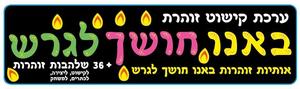 ערכת קישוט זוהרת 