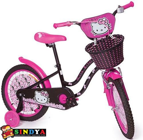 אופניים 18