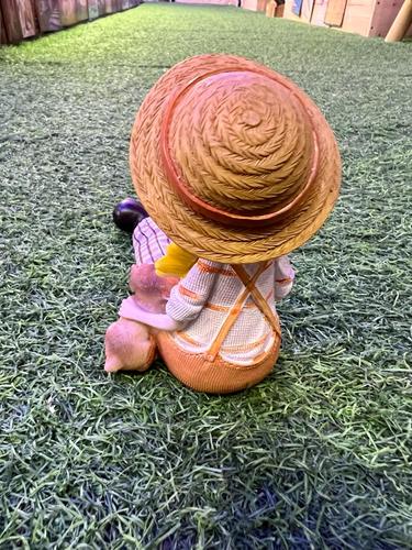 זוג בובות מדף 