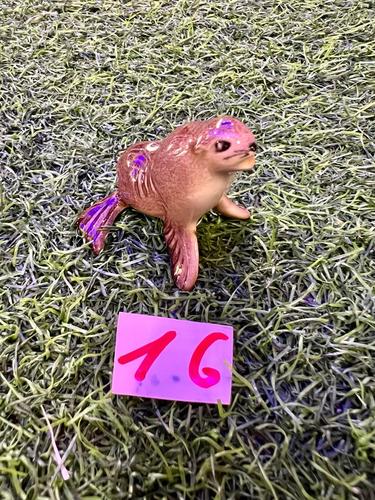 חיות ים פורצלן