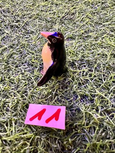 חיות ים פורצלן