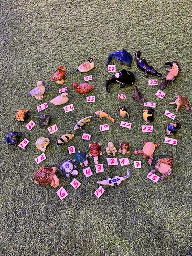 חיות ים פורצלן