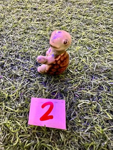 חיות ים פורצלן