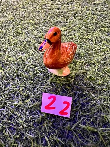 חיות ים פורצלן