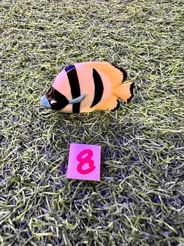 חיות ים פורצלן