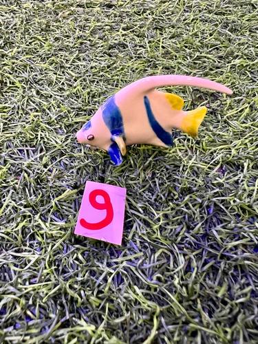 חיות ים פורצלן