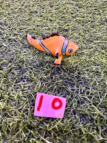 חיות ים פורצלן