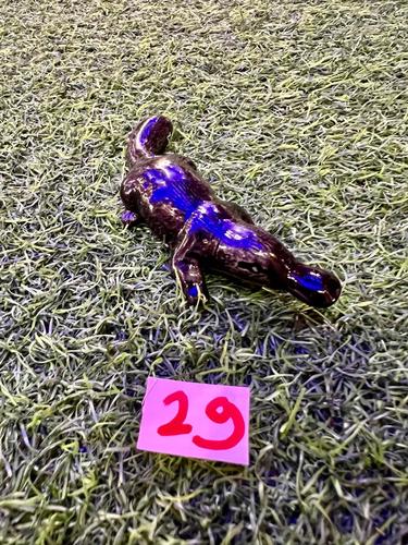 חיות ים פורצלן