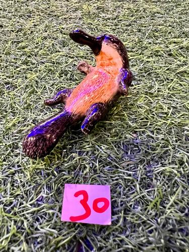 חיות ים פורצלן