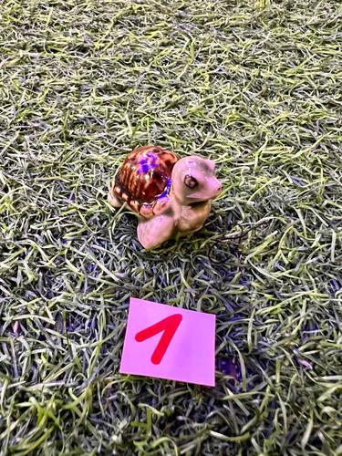 חיות ים פורצלן