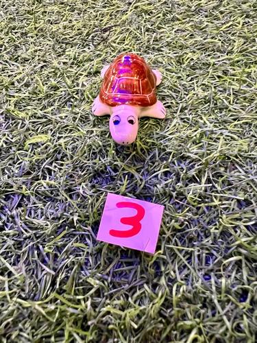 חיות ים פורצלן