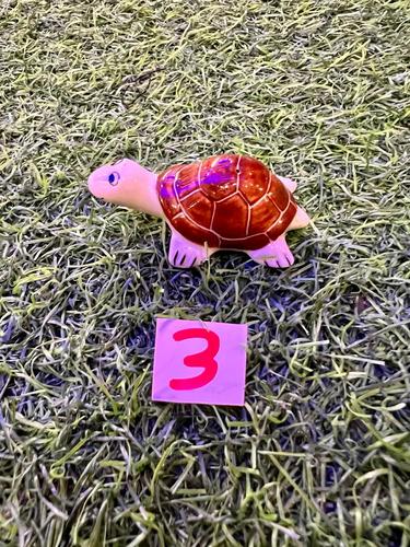 חיות ים פורצלן