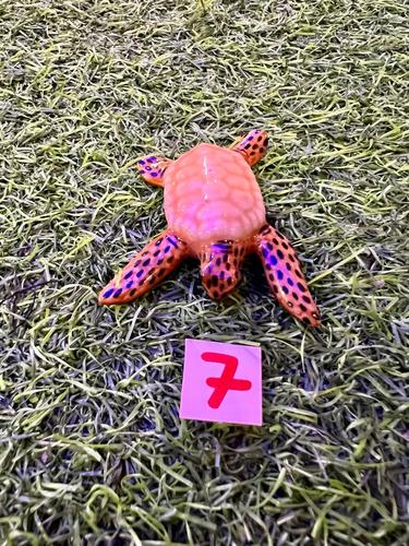 חיות ים פורצלן