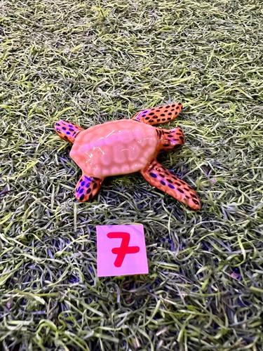 חיות ים פורצלן