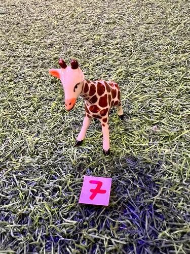 חיות ספארי פורצלן