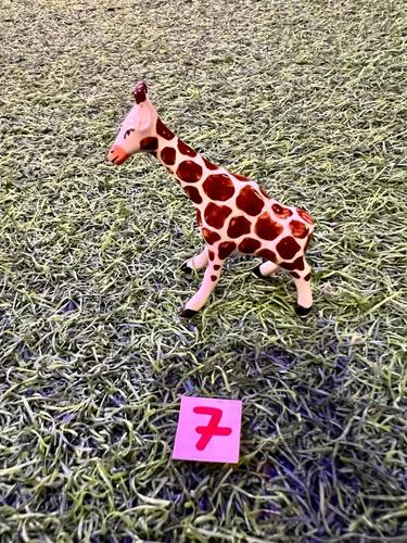 חיות ספארי פורצלן