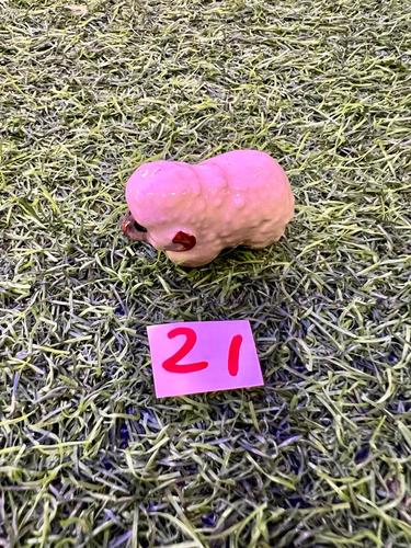 חיות פורצלן