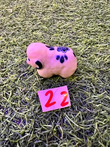 חיות פורצלן