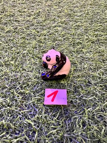 חיות פורצלן