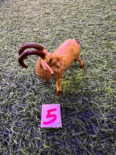 חיות פורצלן